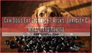 can dogs eat licorice can dogs eat licorice