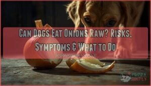 can dogs eat onions raw can dogs eat onions raw