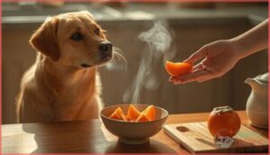 can dogs eat persimmons can dogs eat persimmons