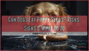 can dogs eat poppy seeds can dogs eat poppy seeds
