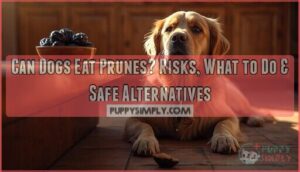 can dogs eat prunes can dogs eat prunes