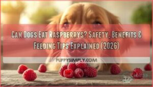 can dogs eat raspberrys can dogs eat raspberrys