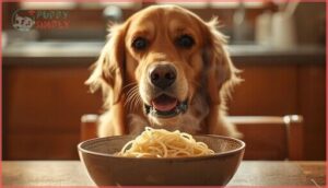 can dogs eat rice noodles can dogs eat rice noodles