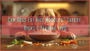 can dogs eat rice noodles can dogs eat rice noodles