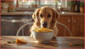 can dogs safely eat mac and cheese can dogs safely eat mac and cheese
