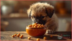 can puppies eat chickpeas can puppies eat chickpeas