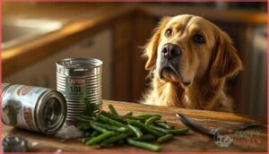 common mistakes when feeding green beans common mistakes when feeding green beans