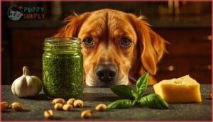 dangerous ingredients in pesto for dogs dangerous ingredients in pesto for dogs