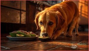 dangers of accidental ingestion dangers of accidental ingestion