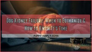 dog kidney failure when to euthanize dog kidney failure when to euthanize