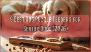 dog puzzle feeders for senior dogs needing gentle mental stimulation