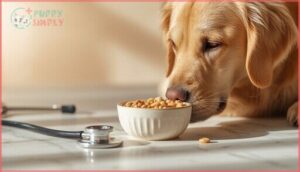 dogs with health conditions and cheerios dogs with health conditions and cheerios