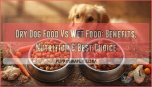 dry dog food vs wet food benefits