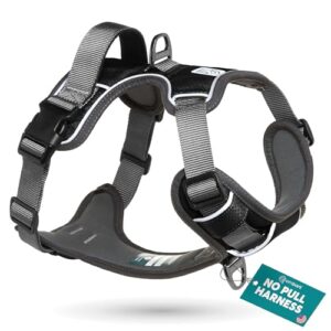 Embark Adventure No Pull Dog Harness B071F3WX3F
