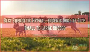 energetic hypoallergenic dogs size