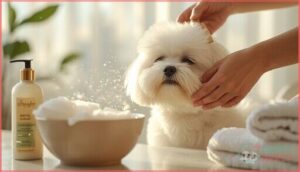 essential grooming tips to minimize allergens essential grooming tips to minimize allergens