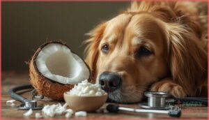 feeding coconut to dogs with special needs feeding coconut to dogs with special needs