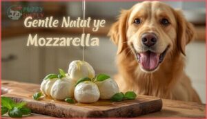 fresh mozzarella fresh mozzarella