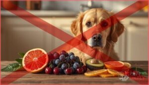 fruits to avoid for dogs fruits to avoid for dogs