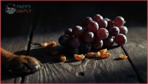 grapes and raisins grapes and raisins