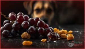 grapes and raisins grapes and raisins