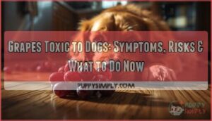 grapes toxic to dogs grapes toxic to dogs