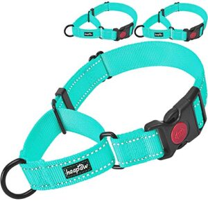 haapaw 2 Packs Martingale Dog B07V6BS51J