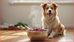health benefits of cooked kidney beans for dogs health benefits of cooked kidney beans for dogs