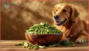 health benefits of edamame for dogs health benefits of edamame for dogs