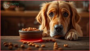 health risks of cheerios for dogs health risks of cheerios for dogs