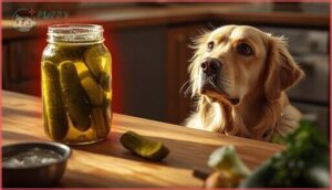health risks of feeding pickles to dogs health risks of feeding pickles to dogs