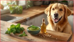 homemade pesto without toxic ingredients homemade pesto without toxic ingredients