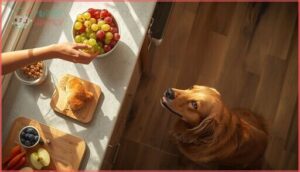 how can i prevent grape poisoning how can i prevent grape poisoning