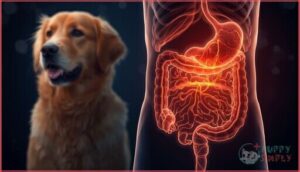 how dogs digest bones how dogs digest bones