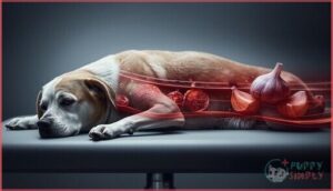 how garlic harms a dog’s body how garlic harms a dog’s body