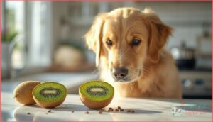 how many kiwi seeds are safe for dogs how many kiwi seeds are safe for dogs
