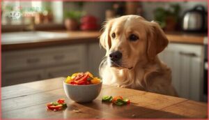 how much bell pepper can dogs eat how much bell pepper can dogs eat