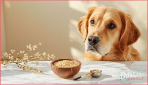 how much can dogs eat how much can dogs eat