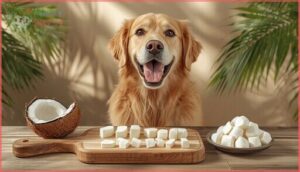 how much coconut is safe for dogs how much coconut is safe for dogs