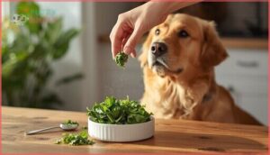 how much cooked kale can dogs eat how much cooked kale can dogs eat