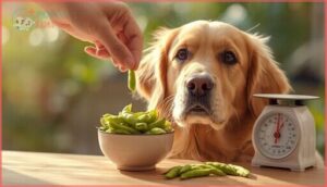 how much edamame can dogs eat how much edamame can dogs eat
