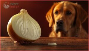 how much raw onion is dangerous for dogs how much raw onion is dangerous for dogs