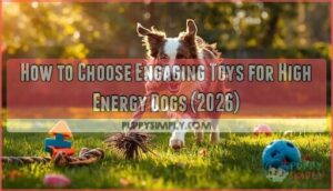 how to choose engaging toys for high energy dogs how to choose engaging toys for high energy dogs