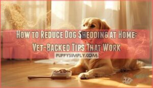 how to reduce dog shedding at home