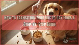 how to transition dog to dry food