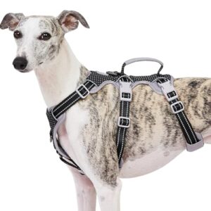 Huntboo Escape Proof Dog Harness, B0BGGPN8VZ