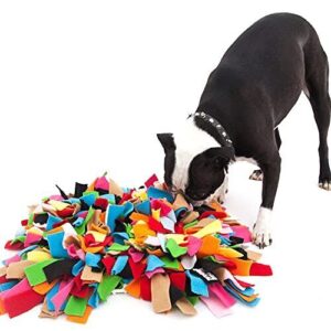 iHeartDogs Sniff Diggy Snuffle Mat B08TKS3P3L