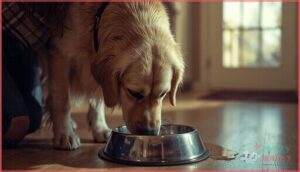 increased thirst and urination increased thirst and urination