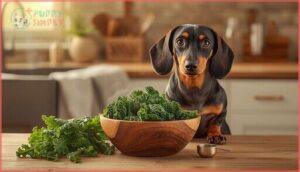 is cooked kale safe for dogs is cooked kale safe for dogs