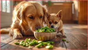 is edamame safe for all dogs is edamame safe for all dogs